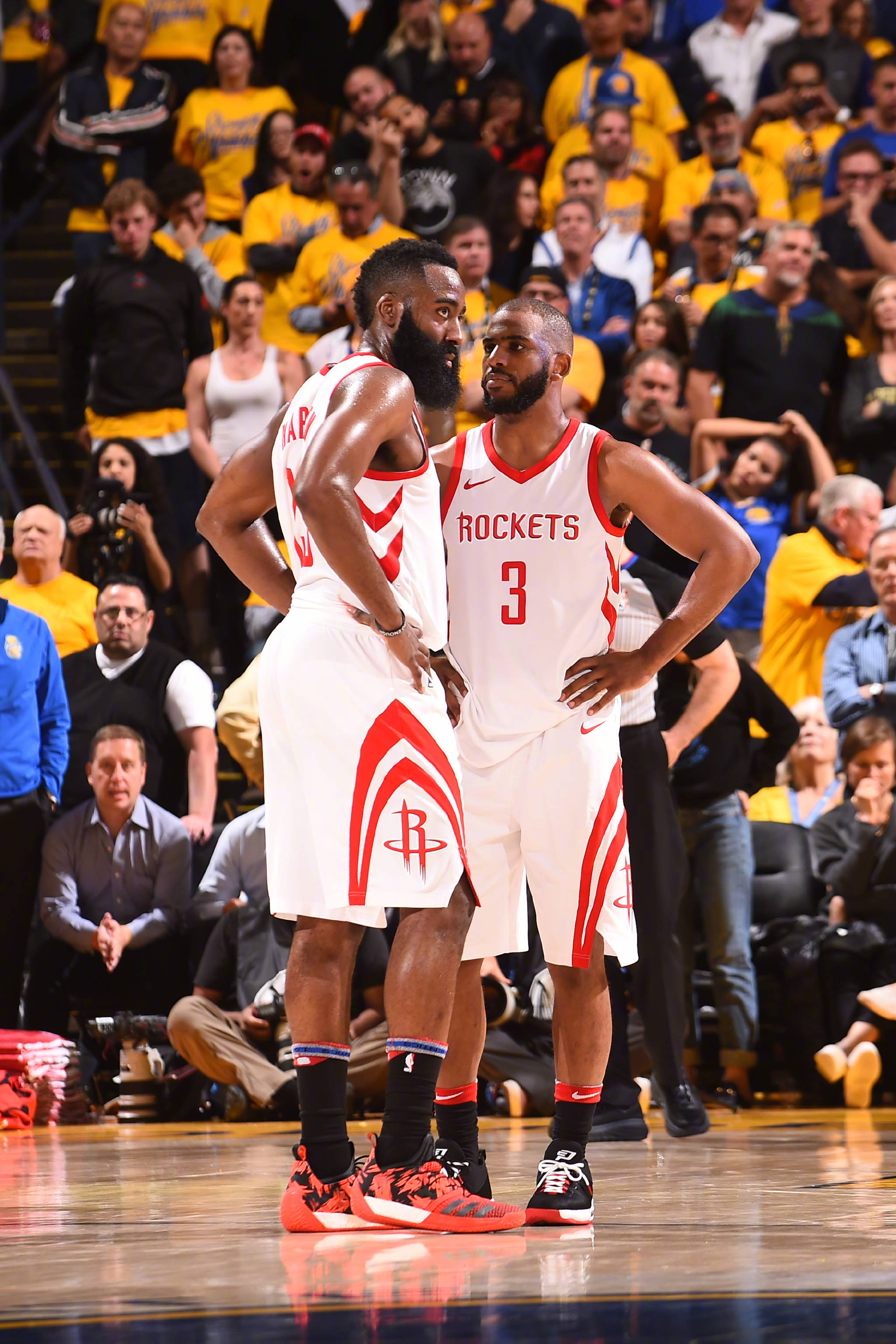 新人能带来 新人能带来