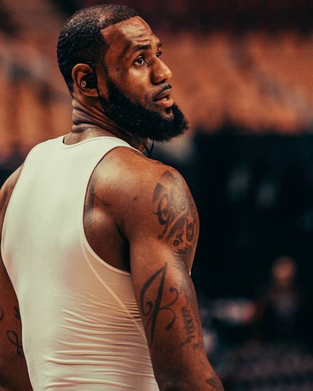 稳态协议 稳态协议